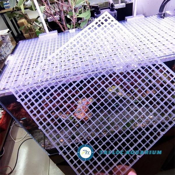 Tấm lưới nhựa đạy nắp bể cá, ngăn bể, 30x30 cm (màu trắng - đen) đậy