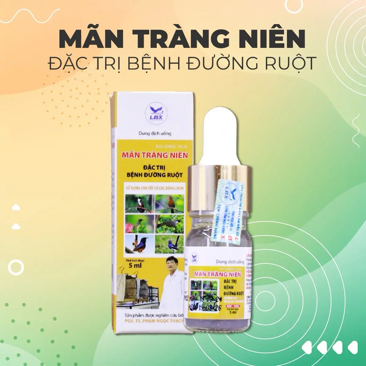 Mãn Tràng Niên - Thuốc Cho Chim Cảnh - Hỗ Trợ Đường Ruột - Dùng Cho Mọi Loại Chim Cảnh - Chai 5ml cám chào thải men tiêu