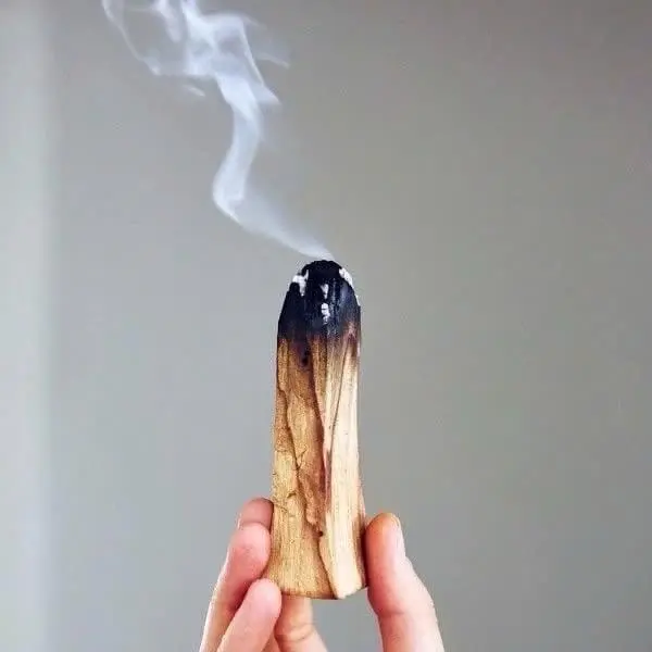 Gỗ Palo Santo dùng để thanh tẩy và nạp năng lượng đá Faerygem 1