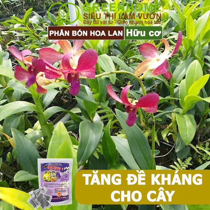 Phân Bón Lan Greenhome, 1 Tép, Túi Lưới, Tan Chậm, Không Mùi Hôi, Dưỡng Lan Ra Rễ, Xanh Tốt, Dùng Tốt Cho Sen Đá, Kiểng 4