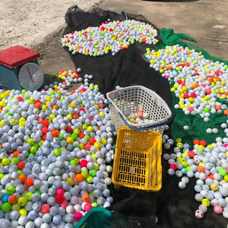 Bóng golf cũ , cho những người chơi golf chuyên nghiệp hoặc nghiệp dư Sport