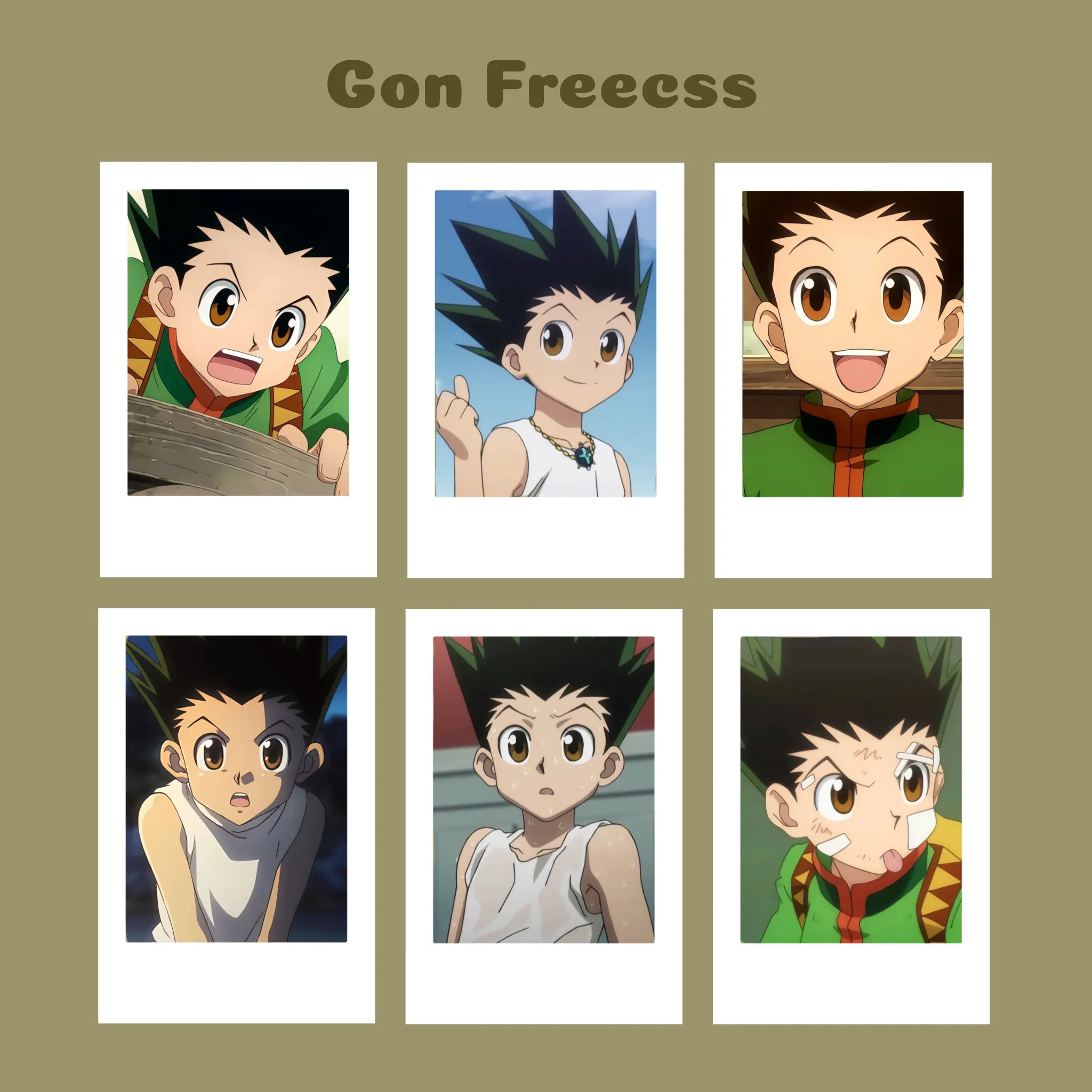 Polaroid Anime Hunter x Hunter