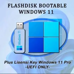 USB FLASHDISK BOOTABLE WINDOWS 11 PRO TPM 2.0 PLUS DRIVERPACK