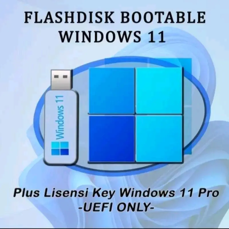 USB FLASHDISK BOOTABLE WINDOWS 11 PRO TPM 2.0 PLUS DRIVERPACK 0