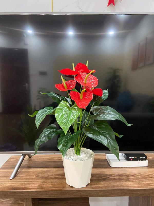 cây hồng môn cao 50cm, cây nhựa decor trang trí Decor Phòng