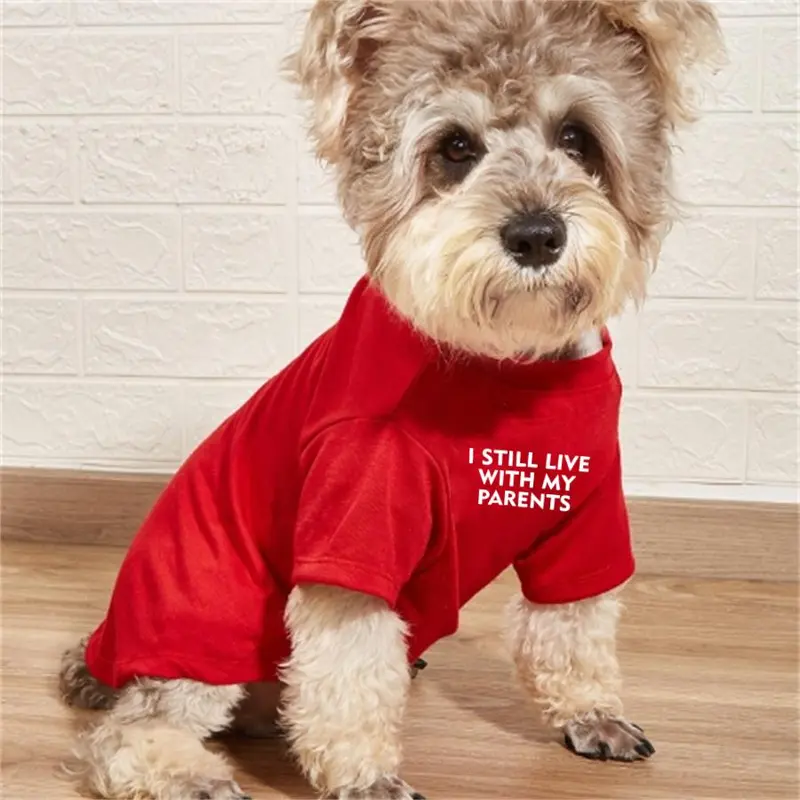 I Still Live with My Parents Letter Print Pet Clothes, 1 Count Funny Creative Pet Clothes, Pet Clothes for Dogs 6