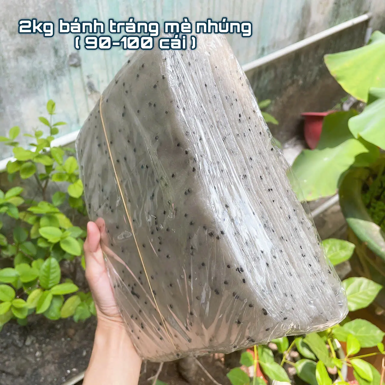 [Bịch 2kg] Bánh tráng mè đen đặc sản phan rang hàng loại 1 ,bánh tráng nhúng mè đen, bánh mè cuốn dẻo thơm nhiều mè