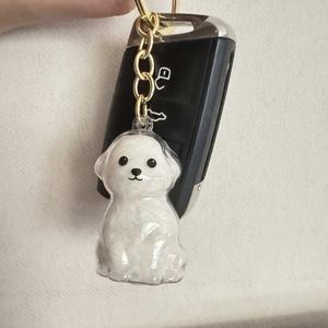 1pc Caja de almacenamiento transparente para pelo de mascotas, Cápsula conmemorativa para perros, Botella con recuerdo de pelo de mascota con Llavero, Un regalo cálido para dueños de mascotas, utilizado para conservar recuerdos con mascotas