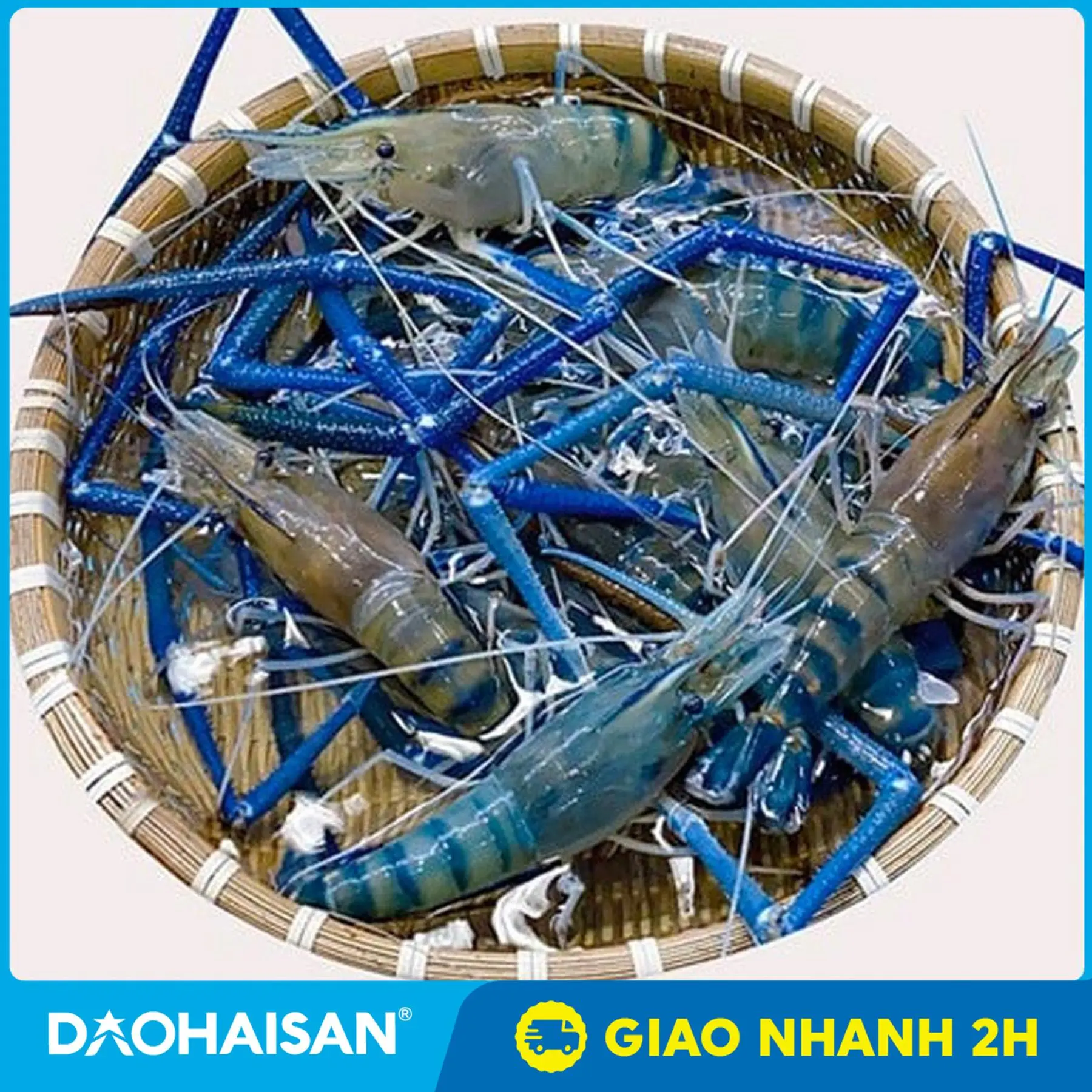 [HCM - Giao 2H] Tôm Càng Xanh 12-13 Con/Kg - Đảo Hải Sản