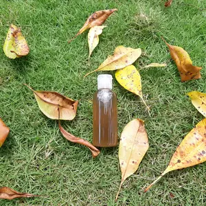 MINYAK CENGKEH ( Clove Oil ) Asli Murni 60 ML Kualitas Terbaik massage