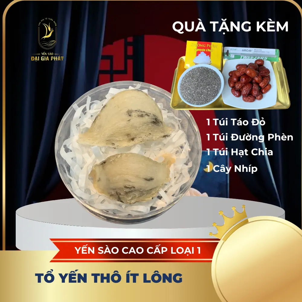2 Tổ Yến Thô Cao Cấp Ít Lông [ Tặng kèm Nhíp + Táo đỏ + Đường phèn + Hạt chia ] - Yến sào Khánh Hòa