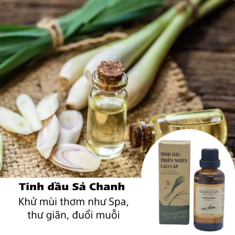 Siêu Ưu đãi Combo 5 lọ 10ml Tinh dầu thiên nhiên chính hãng 2