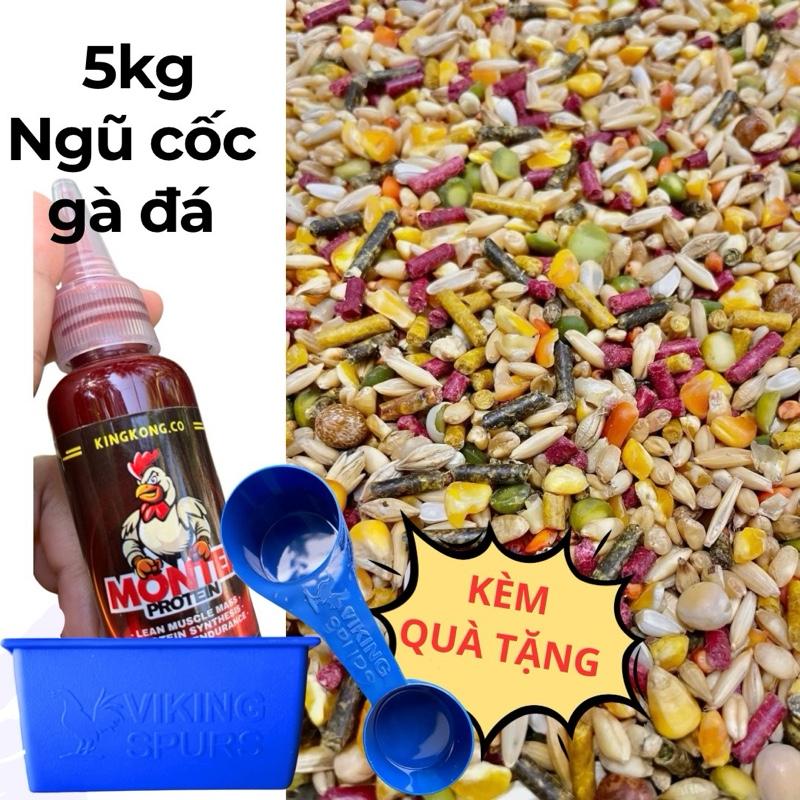 (5 kg) Ngũ cốc gà đá Mỹ Kê hàng loại 1 hạt bóng bẩy không bụi - tặng đạm protein 20ml hoặc muỗng định lượng hoặc máng ăn cho gà (5kg CÓ CÁM)
