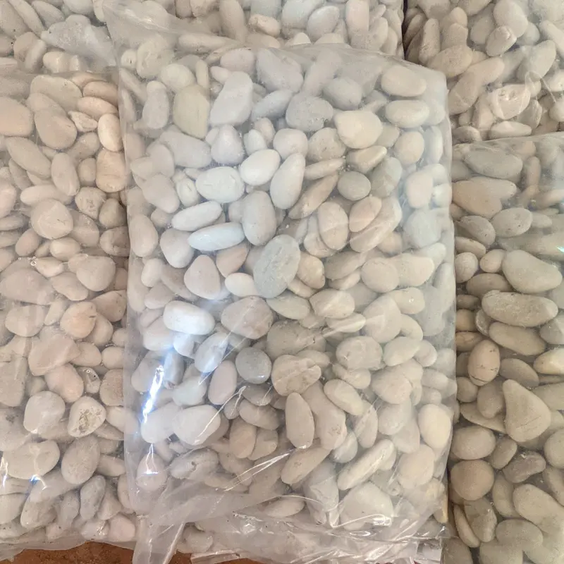 BATU KORAL PUTIH 10 KG - BATU TAMAN / BATU HIAS PUTIH 1