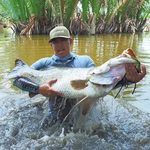 Bake Kujira - Cửa Hàng Câu Cá Nhật Bản