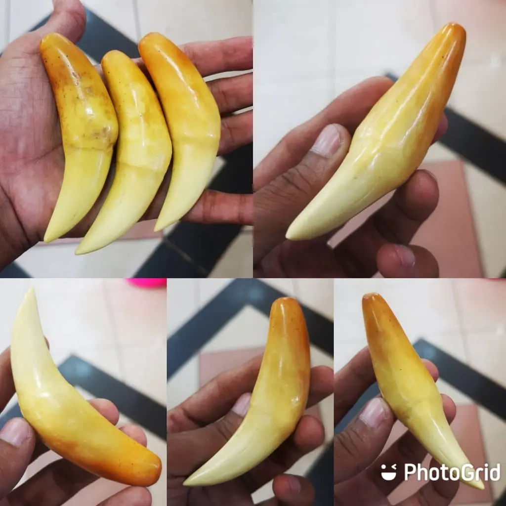 Kalung Liontin Harimau Panjang 8 Cm Bandul Unik Menarik Fleksibel & Kualitas Baik Ideal untuk Peningkatan Kepercayaan Diri