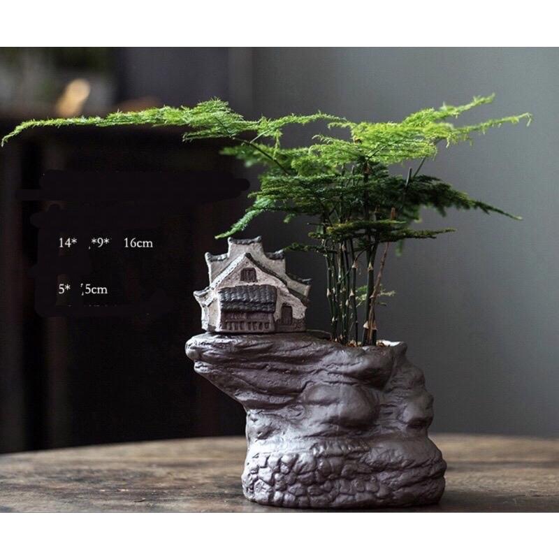 nhà mô hình cây cảnh trồng tiểu cảnh trong nhà 4