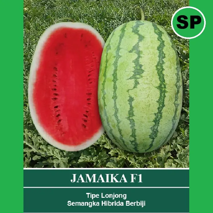 Benih Semangka Lonjong Hibrida Jamaika F1 Isi 100 Butir Cap Mutiara Bumi 1