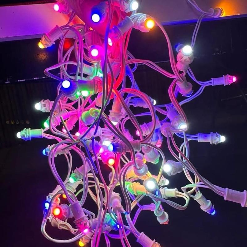 Dây Led F5 Full Màu, Dây Led F5 Đủ Màu, Dây Led F5 Đổi Màu, Dây Led F5 Full Color, Dây Led Đúc F5