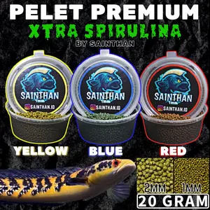 Pelet Premium Blue, Yellow, Red 20 Gram ekstra Spirulina SaintHan untuk Channa