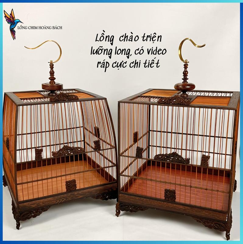  Khung lồng chim chào mào lồng chim chào mào đục lưỡng long chất liệu gỗ mun cao cấp tặng kèm phụ kiện miễn phí vận chuyển lồng  chim 