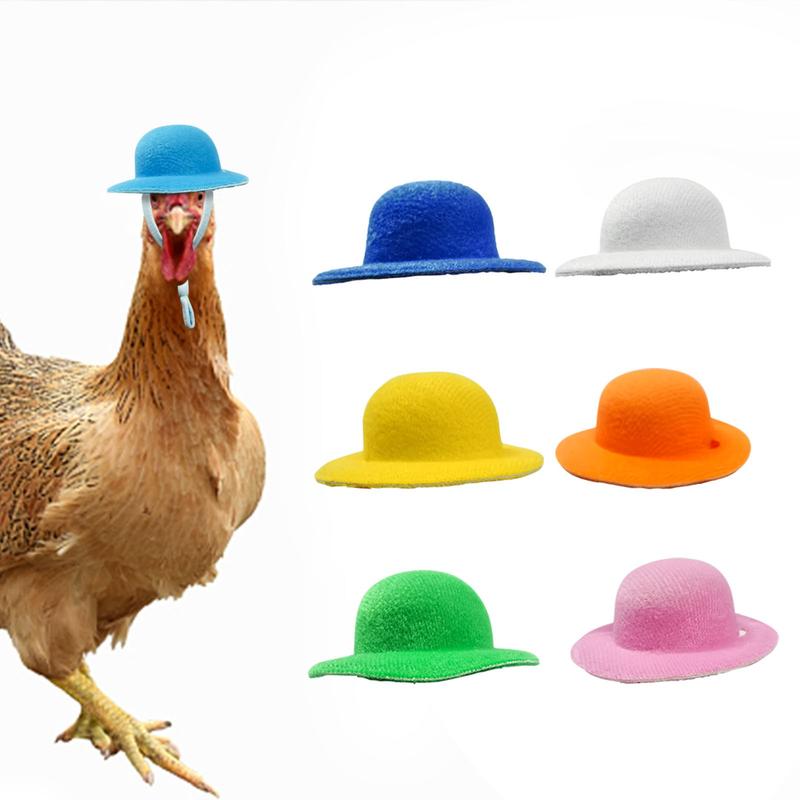 Product Introduction of Chicken Hamster Hat for Hens Tiny Pets Funny Accessories Farm Hen Top Hat for Rooster Duck Parrot Poultry Stylish Show Costume 11