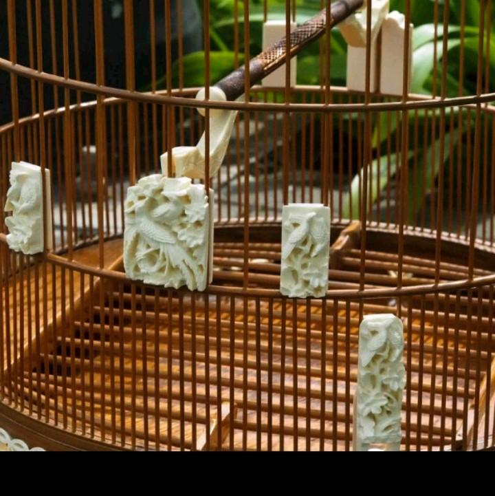 Dudukan Tangkringan Sangkar Burung Anis/Murai 5