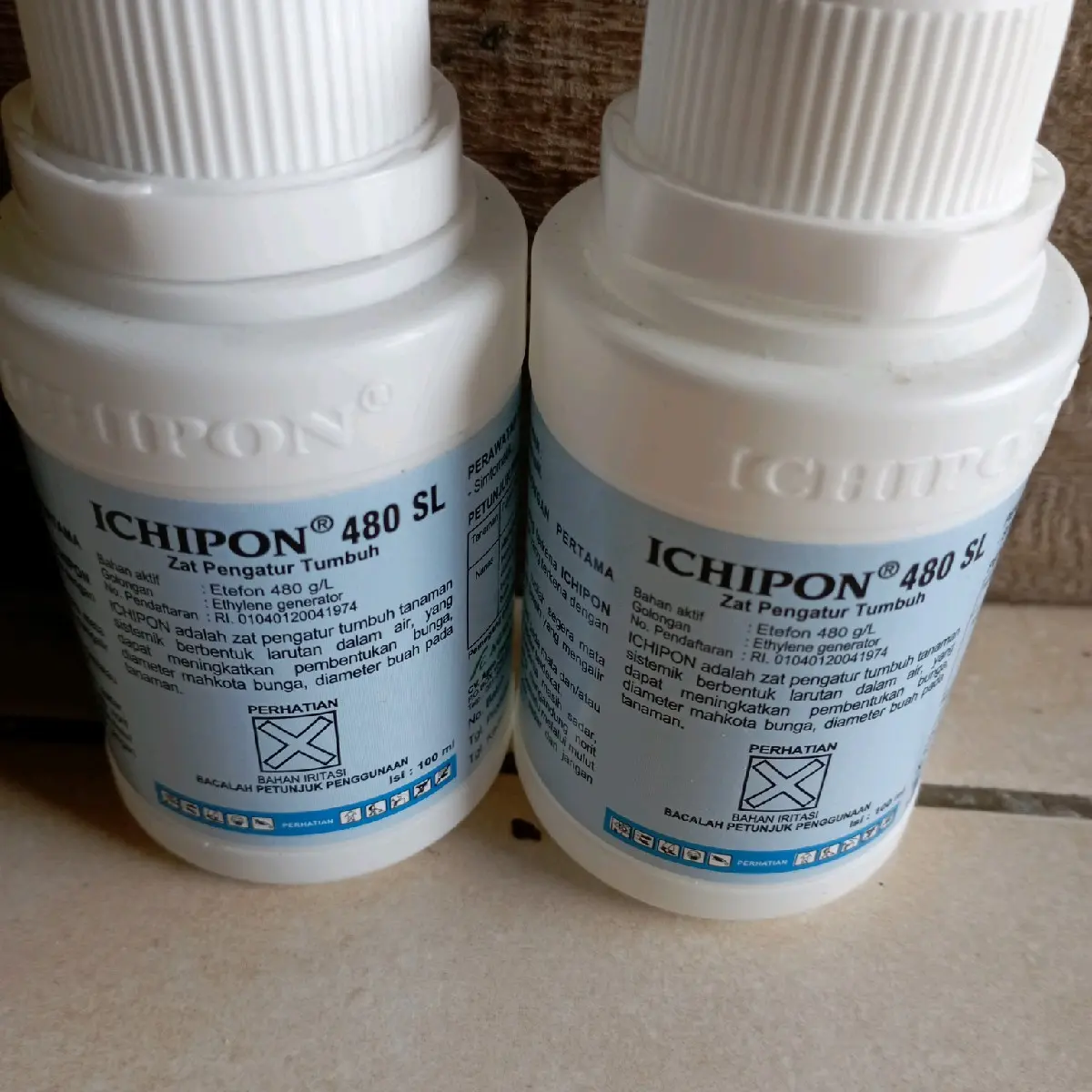 Zat pengatur Tumbuh ICHIPON 480sl 100ml OBAT PEMATANG BUAH Apel PISANG