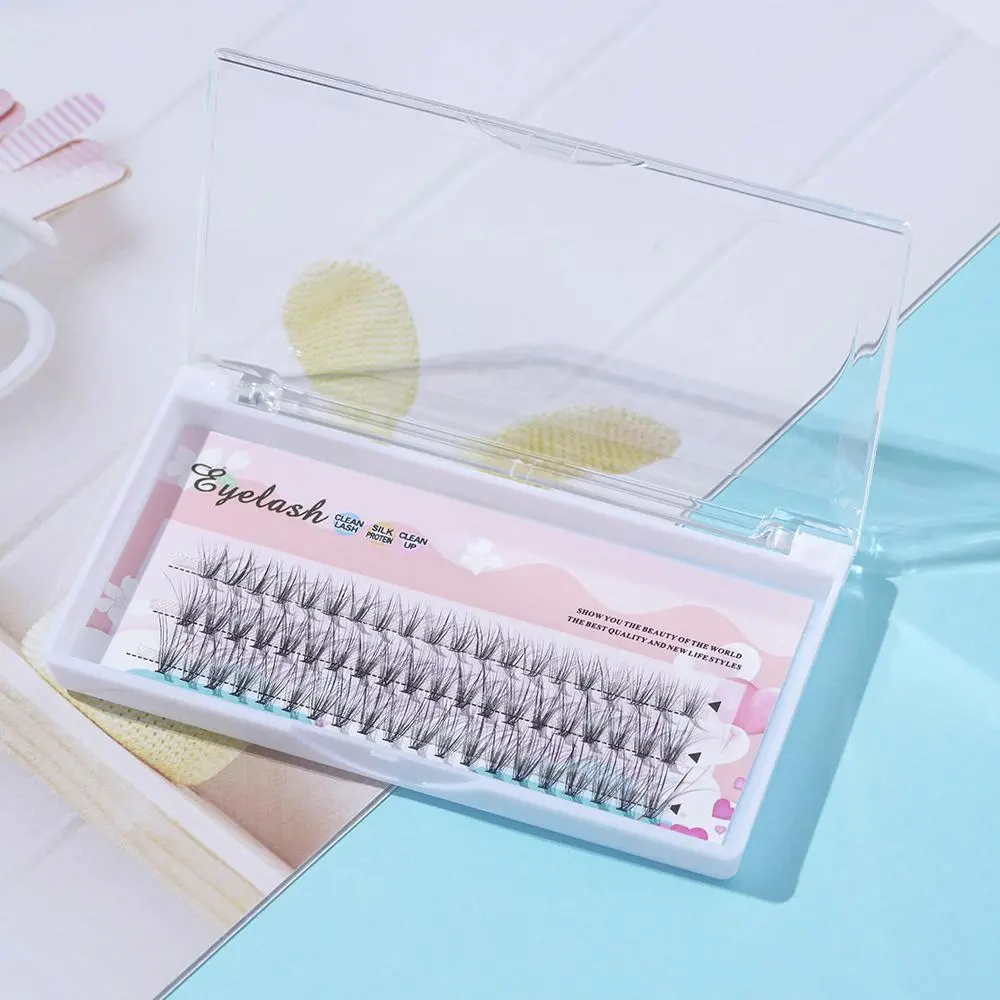 Mixed D Curl Individual False Eyelashes, Natural Look Eyelash Extensions, False Eyelashes Clusters For Women and Girls Eye Enhancement