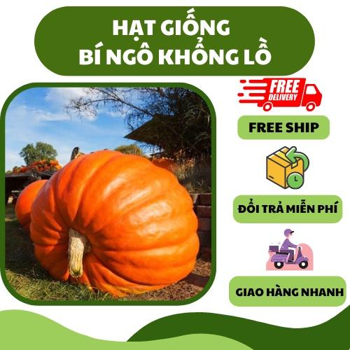  Hạt giống bí ngô khổng lồ  5 hạt  - thơm ngon dễ trồng 