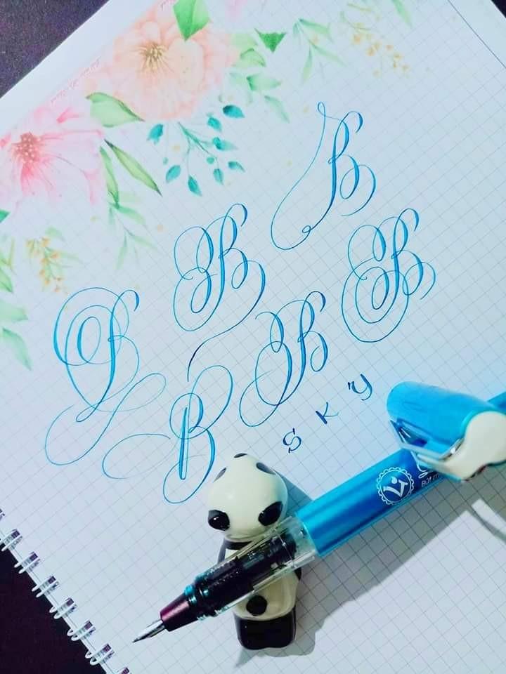 Product Introduction of Bút LeTa369 ngòi lá tre thanh đậm đẹp 2