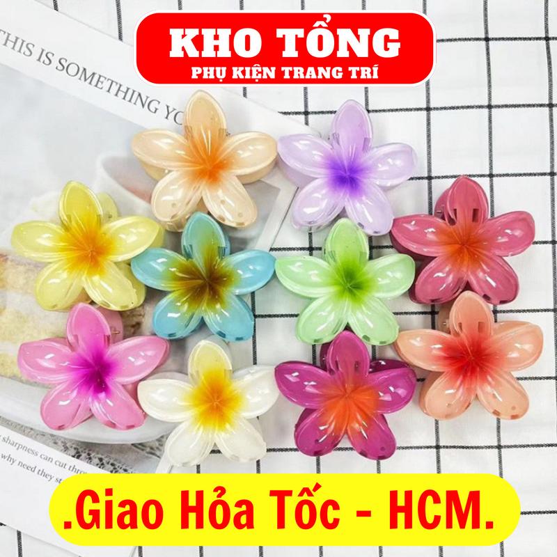 (Mua 3 tặng 1) Kẹp hoa sứ 8cm cho nữ