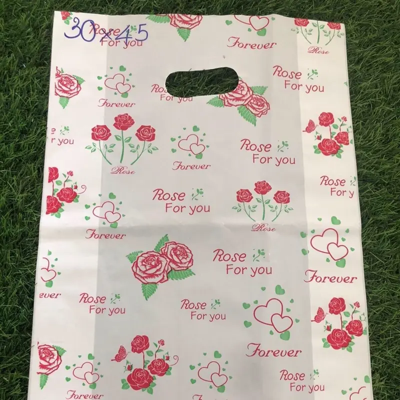 TÚI HỘT XOÀI IN HÌNH HD HOẠ TIẾT NGẪU NHIÊN ĐỦ SIZE 2
