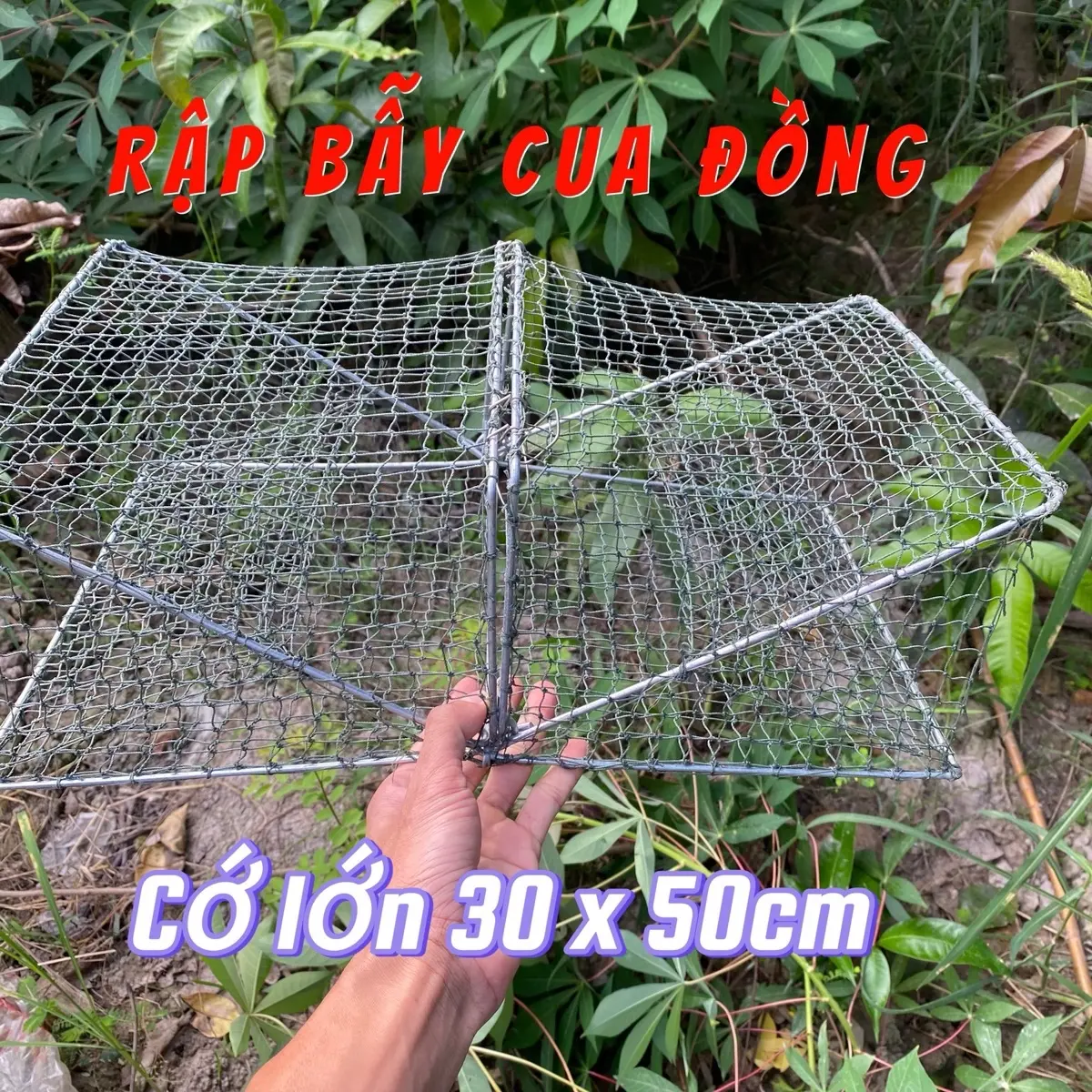 Lồng bẫy cua, rập cua đồng cỡ lớn 30x50cm và cỡ nhỏ 25x40cm, mắt lưới 3p chỉ độ 9 Fishing