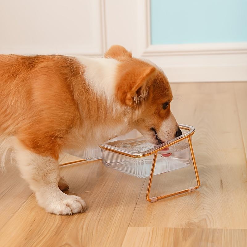 Transparent Three-dimensional Design Double  Bowls For Easy Feeding And Hydration - Ideal Pet Supplies camera collar pet slow feeder raised bowl cat water fountain dog walking hands free 7