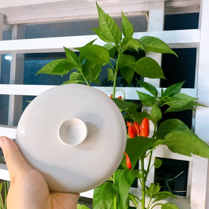 Nắp thố sứ nồi nấu cháo chậm Bear 0.8 L