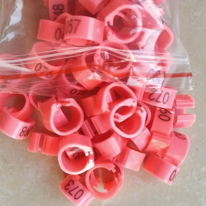 Nhẫn Chân Chim Bồ Câu, 100 Chiếc, Đường Kính 8Mm, Mở Rộng, Vòng Kẹp Kỹ Thuật Số, Vòng Đánh Dấu, Có 10 Màu, Thích Hợp Cho Chim 2