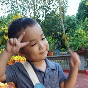 Hòa vẹt shop