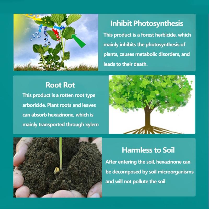 Product Introduction of Herbicides remove large trees bamboo shrubs high concentrations of rotten roots root rot and root death  tree killer chemical Weeding and land reclamation Not turning green  kill tree permanent grass killer tree killer tree root killer kill tree Pot 11