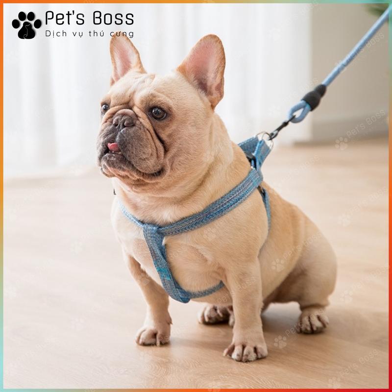 Dây Dắt Chó Kích Thước Lớn Từ 3-35kg Siêu Bền, Thiết Kế Đẹp - Bộ Đai Yếm Và Tay Cầm Bọc Mút Êm Ái | PetsBoss