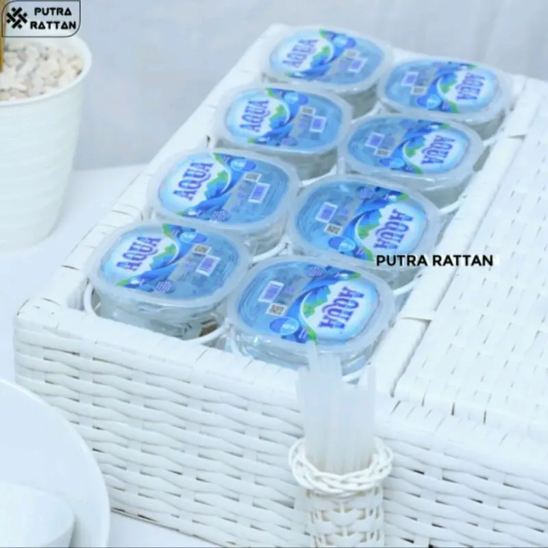 Aqua Set Tisu Rotan Sintetis 3