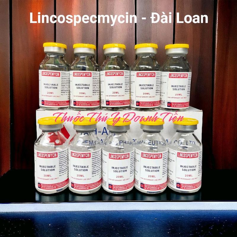 LINCOSPEMYCIN-Đài Loan Nắp Vàng (lọ 20ml): Trị viêm phổi, ho, CRD, viêm ruột, tiêu chảy, trị nội thương, trị tan trên gà đá, gà chọi