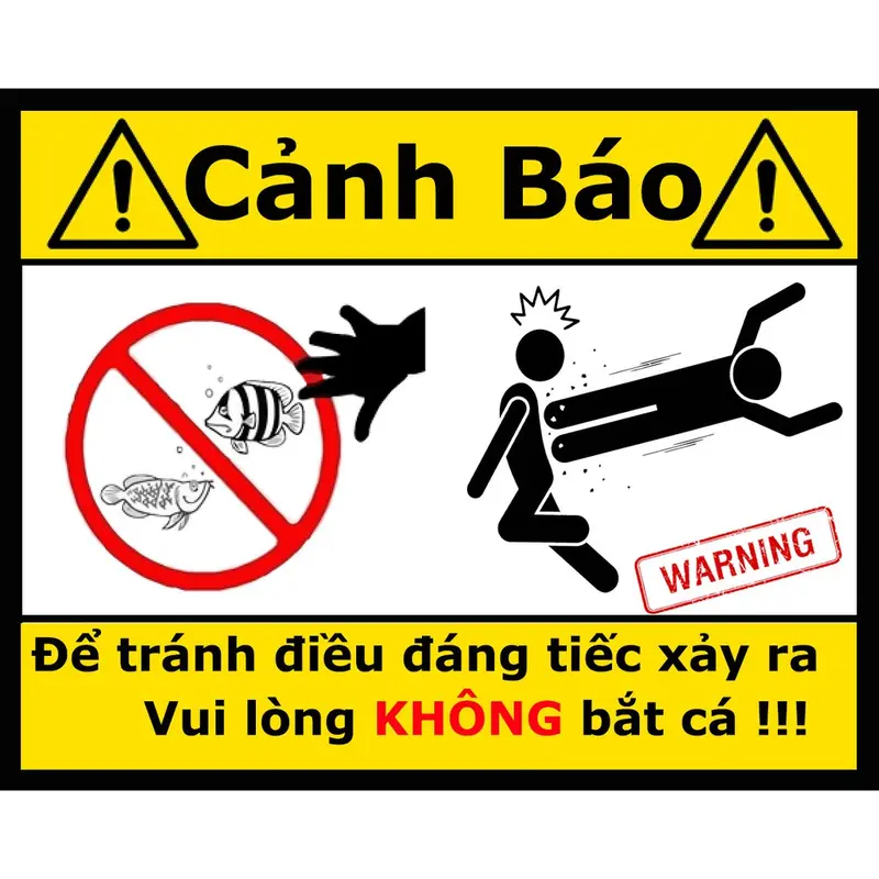 Logo cảnh báo vui nhộn dán bể cá cảnh , có keo sẵn , nhiều mẫu mã 6