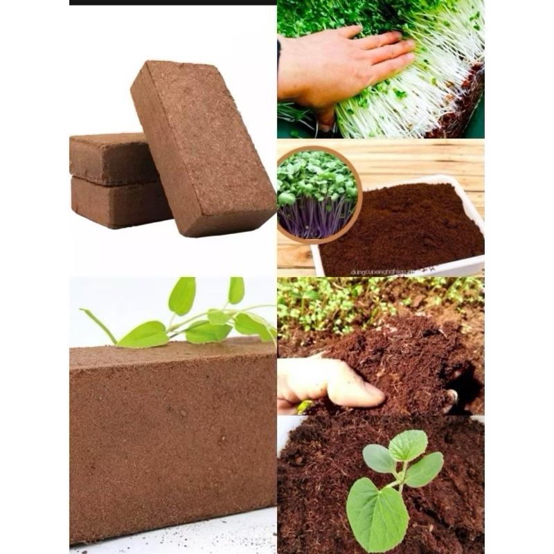 Combo 6 Viên Đất Nén Xơ Dừa Tiện Ích diệt khuẩn kháng sâu bệnh bổ sung vi sinh hữu cơ cho cây trồng,hoa,rau viên  nén  xơ  dừa  trồng  cây