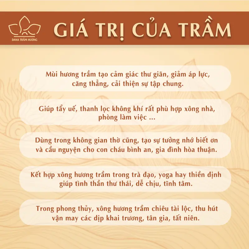 Combo Nụ Trầm Hương Đặc Biệt Tự Nhiên - DANA Thủy Nguyệt - Hỏa Nhật -Thổ Sơn (Nụ Sen), Trầm Sạch, Hương Thơm Ngọt Dịu, Phong Thủy 6