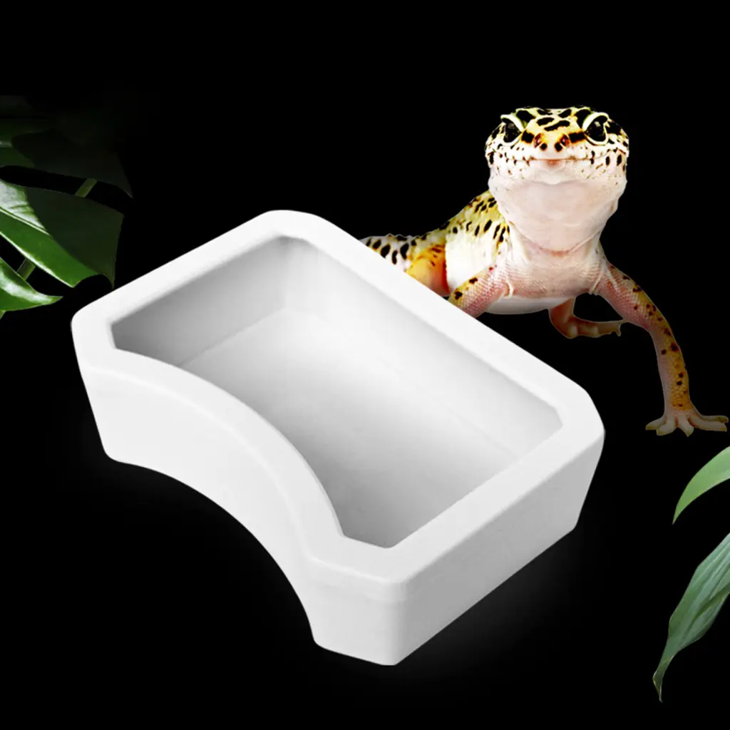 Rhoudve Decorative Reptile Bowl Lizard Feeding Bowl Pet Reptile Food Water Dish Feeder Bowl Aquarium Ornament Plastic Grade