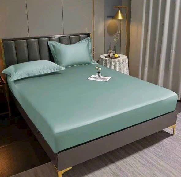 Product Introduction of BỘ 3 MÓN GA VÀ VỎ GỐI LỤA THÁI - CHẤT LIỆU MÁT MẺ, MÀU SẮC TRẺ TRUNG - Ga bo chun đệm được 10p. 69