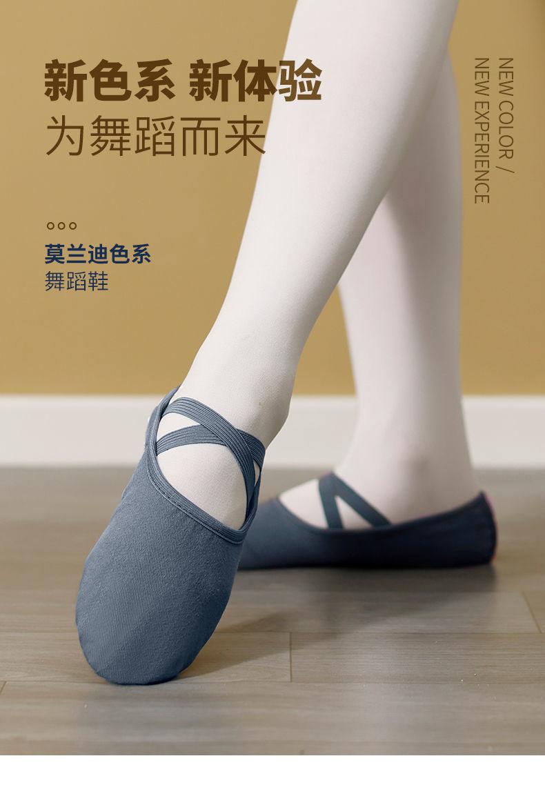 Product Introduction of 2025 Dance Shoes for Adults Ballet Shoes Ethnic Dance Shoes for Women Soft Sole Dance Shoes for Women Adult Dance Shoes 3