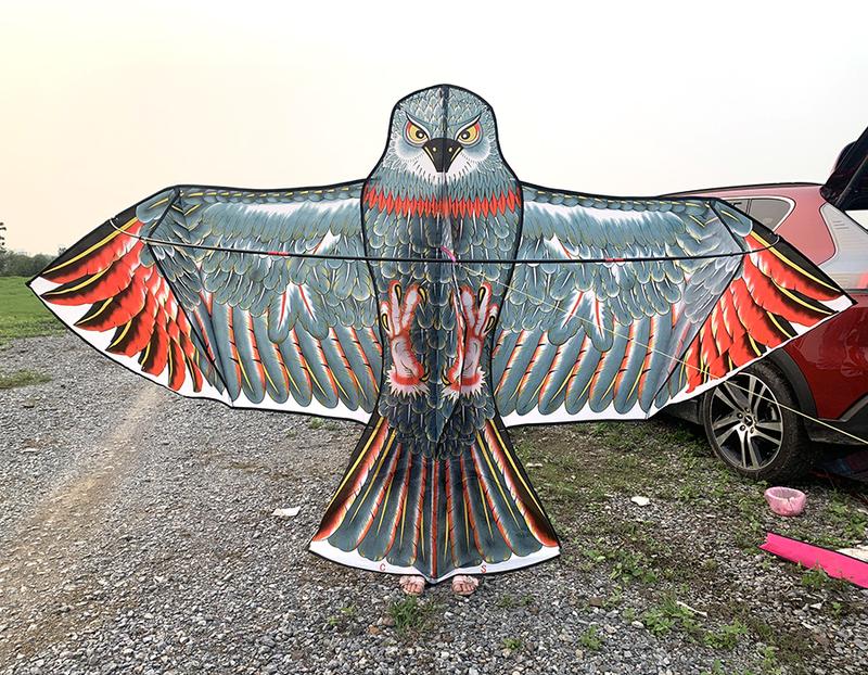 Diều đại bàng khổng lồ 3.6 mét phủ nhũ siêu đẹp vua của bầu trời thả