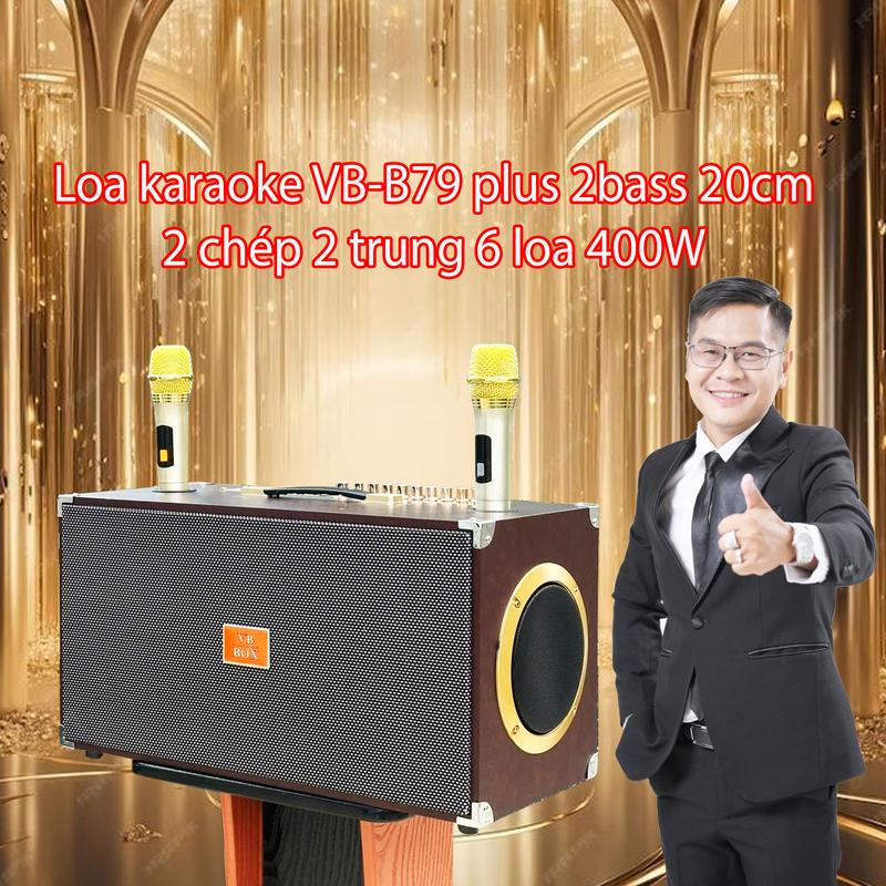 Loa karaoke VB-B79 plus 2bass 20cm 2 chép 2 trung cao cấp kèm 2 micro 400 W